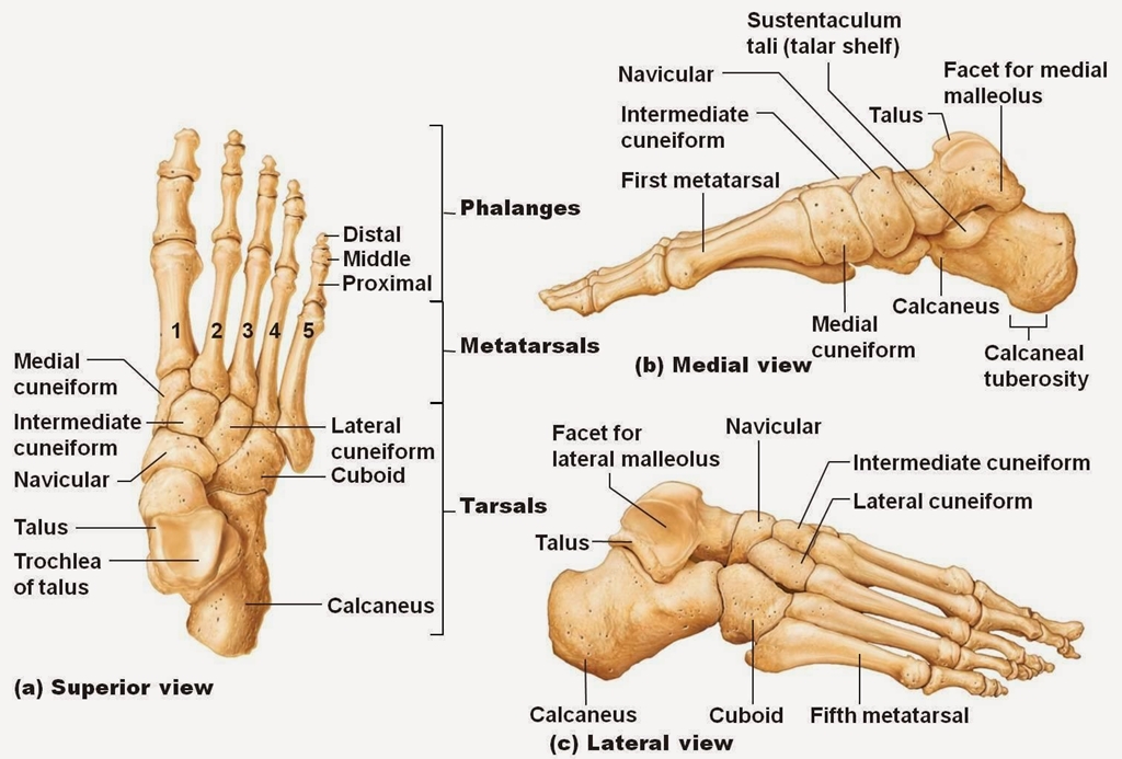 footcare-02